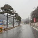 보람메딕스 네이버블로그
