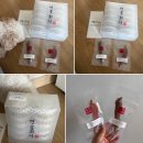 견들의 밥상 | 견물생식 견물화식세트 강아지생식 강아지화식추천