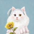 고양이 쉼터 이미지