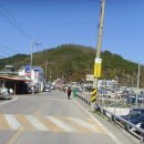 축산항초등학교 경정분교장 이미지