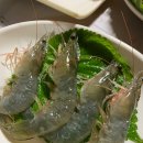동백수산 티스토리