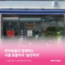 솔빈약국 이미지