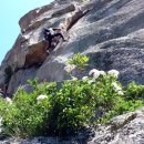 장군봉 농장 이미지