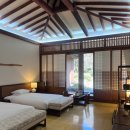 포도가 있는 풍경 | [제주] 포도호텔 2박3일 숙박 후기 | 17주차 태교여행 다녀오기