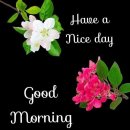 좋은사람 이미지