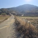 대망주유소 이미지