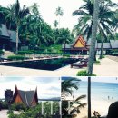 달콤한 휴식 이미지