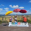 후기 3-1: 2026.9.18.금. 먼저 찾아온 철원.연천의 가을 꽃길 나들이~소이산둘레길 지뢰꽃길 이미지