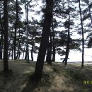 해오름 호스텔 이미지