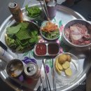 텃밭식자재할인마트