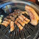 운동장가든 이미지