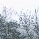 1-2 ITQ OA 마스터자격과정 이미지