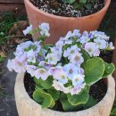 스마트폰으로 스마트하게 살기 | 광주 스마트폰 강의 체험 후기 단 한 번으로도 평생소장인생샷만들어요.