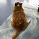 구름뜬하늘 네이버블로그