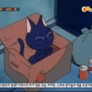 쿨뷰티 이미지