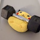 김태민트레이닝센터 이미지