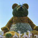 2025년 일산 고양 호수공원 국제꽃 박람회 이미지