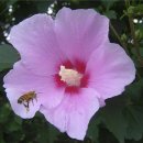 오석농장 이미지