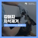 부평24시 SKY 동물의료센터 이미지