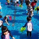 홍성 남당항 대하축제 '맨손 대하잡이' 체험 후기 및 꿀팁: 성공 비법 공개!