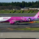 Peach Aviation (Airbus A320-214) JA805P 이미지