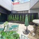 내 마음의 정원, 반려식물 테라피 | 고층아파트가 불임의 원인이라고?? - 요즘 &#39;식물테라피&#39;가 필요한 이유