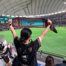 국가대표야구장 | [WBC원정] WBC 국가대표 원정응원단 후기 (세종투어, 한일전직관)