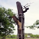 강주연못 이미지