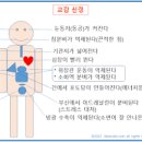 항콜린제란? 종류와 작용 기전 와 이미지