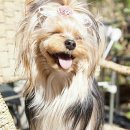 개린이 하우스 이미지