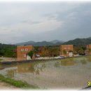 승용 농장 이미지