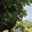 치악산둘레길 10코스 아흔아홉골길 이미지