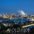 (주)그린트레이딩코리아 이미지