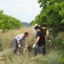 회진면사무소 이미지