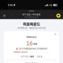 히포파운드