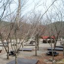 구수곡자연휴양림 야영장 이미지