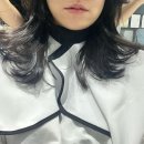 [뷰티]리엔트바버앤살롱 세종점 스켈프컷 후기