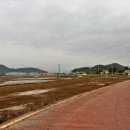 화산남초등학교 이미지