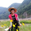 혜유 네이버블로그