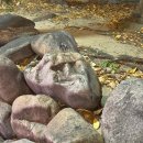 청산 버스터미널 | [청주 여행] 내돈내산 청주 개존맛 맛집, 디저트 카페 추천 (연유버터소금빵 제발) ✨ 2