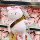 토토스토어 이미지