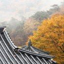 선비고을 이미지