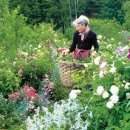 마담퐁텐 이미지