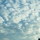 서울아산병원(서관) 이미지