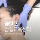 숲칼프 잠실점 교육센터 | 송파 피부관리 & 잠실 두피케어, 숲칼프 잠실교육센터점에서 한 번에 해결한 후기