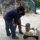 와석초교 Daum카페