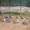 대경원 | 산림기능사 실기 따끈한 후기 시험 방식 일부 변경 있어요