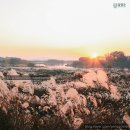 담양오방길3코스(습지길) 이미지