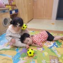 사래올목장 | [2022, 6/6-6/12] 블챌 주간일기 2주차