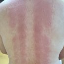 쓰리에이치 용호센터 이미지